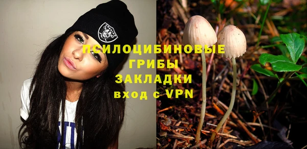 твердый Нефтегорск