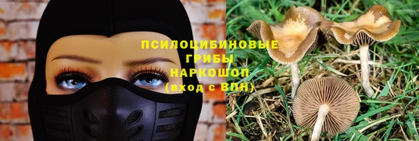 альфа пвп Баксан