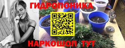 ешки Донецк