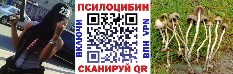 Псилоцибиновые грибы прущие грибы  Балтийск 