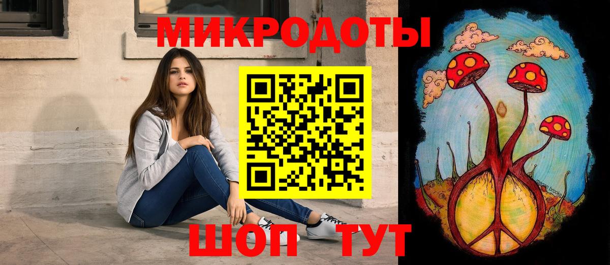 Галлюциногенные грибы Psilocybine cubensis Балтийск