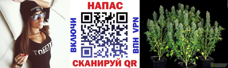 магазин    Балтийск  МАРИХУАНА THC 21% 