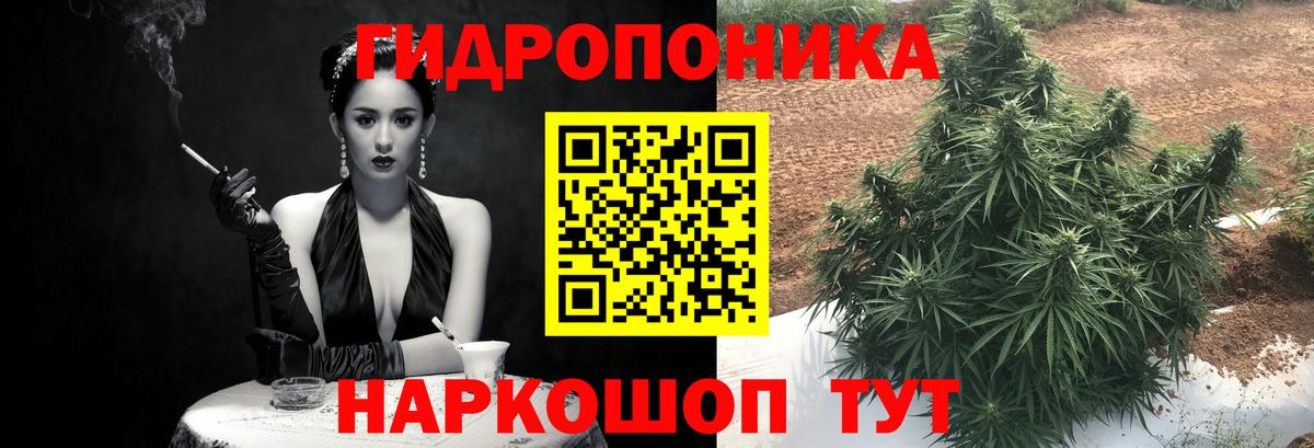 Балтийск  Конопля планчик  МАРИХУАНА семена  Вход с VPN 